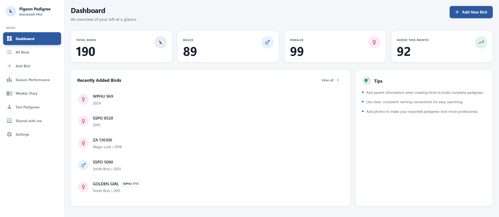 Pigeon pedigree software dashboard with loft statistics and recently added birds