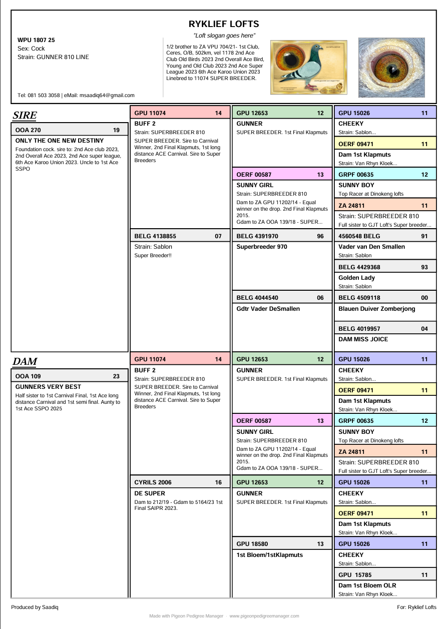 Printable 5-generation pigeon pedigree certificate PDF export