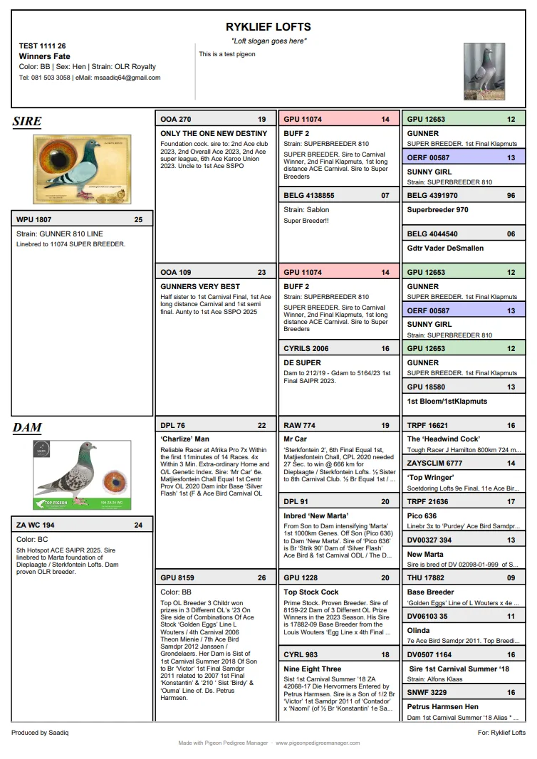 Five-generation pigeon pedigree PDF with colour-coded repeated ancestors